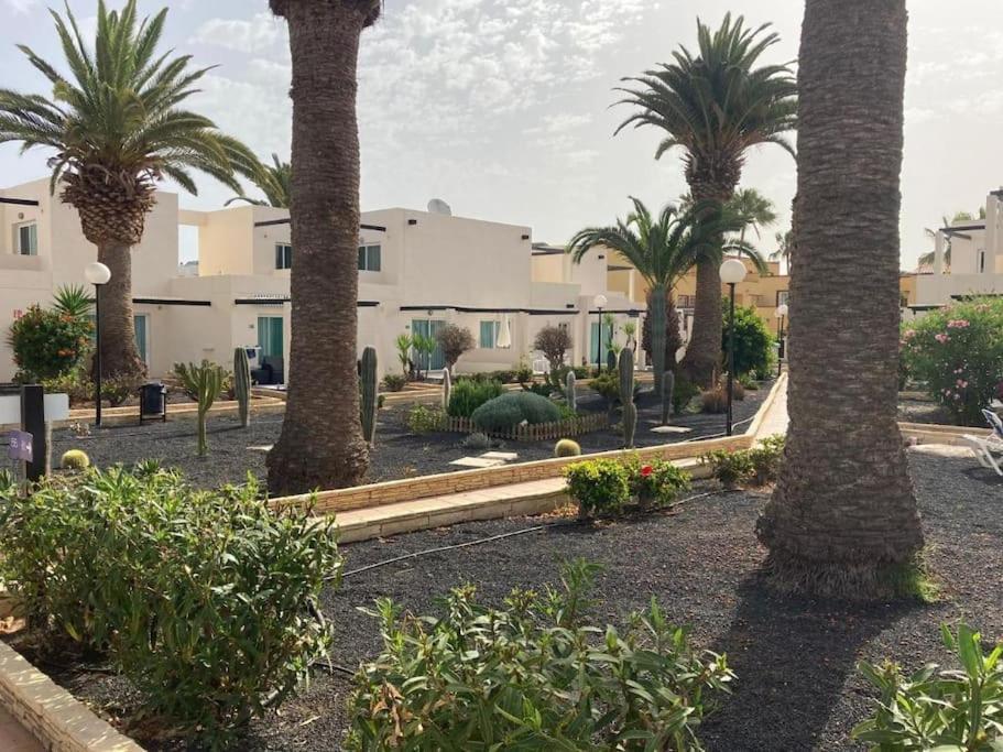 Corralejo Suite Pool & Gardens - Alisios Playa Buitenkant foto