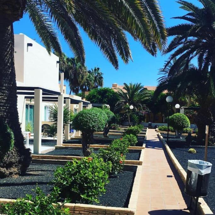 Corralejo Suite Pool & Gardens - Alisios Playa Buitenkant foto